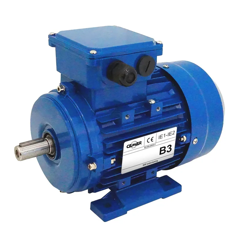 Vente Flash Moteur électrique Triphasé 400/700V 11 kW 1500 tr/min - MS160M44B3 Bride B3 - Bobinage cuivre