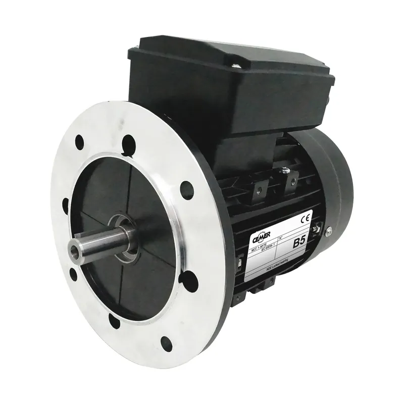 Expédié Aujourd'hui Moteur électrique Monophasé 220V 0,37 kW 3000 tr/min Double Condensateur - ML7112B5 Bride B5 - Bobinage cuivre