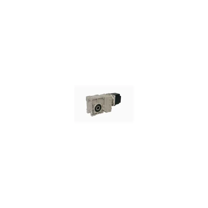 Haute Qualité MR Brushless IP55 Orthogonal CMB402 i55,31 Ø18 BL070 54t/mn 48VV 220W