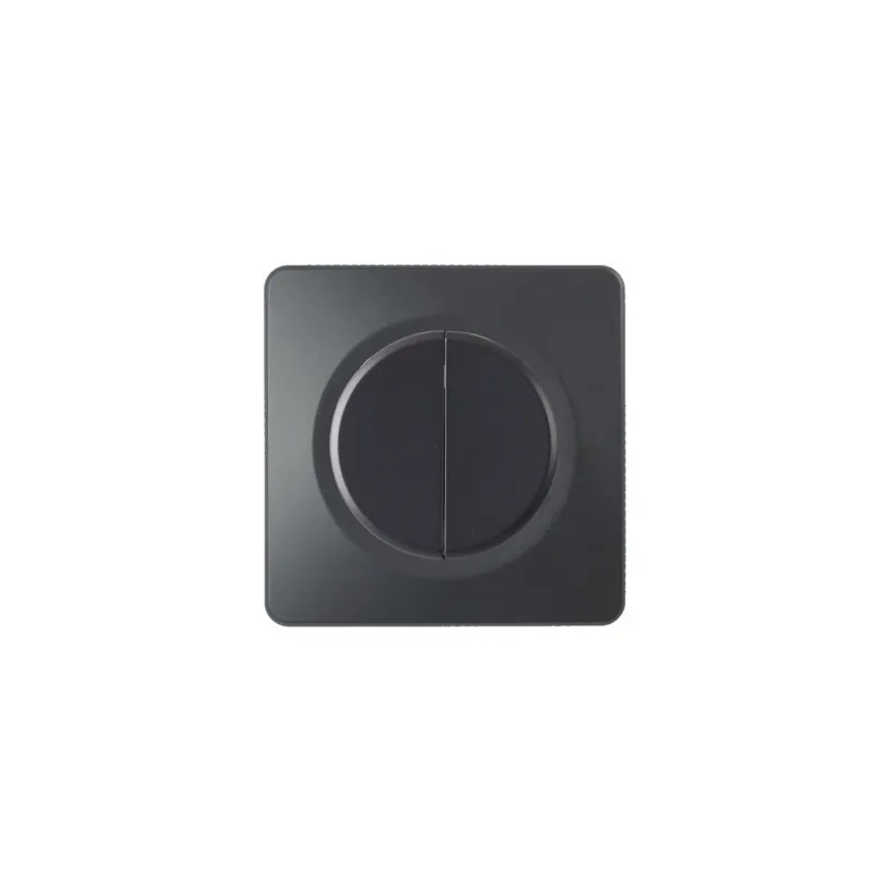 Ohmtec - EPURE - Interrupteur ou va et vient double Anthracite avec Plaque anthracite - Complet - Réf 480701O-P Promotion Saisonnière